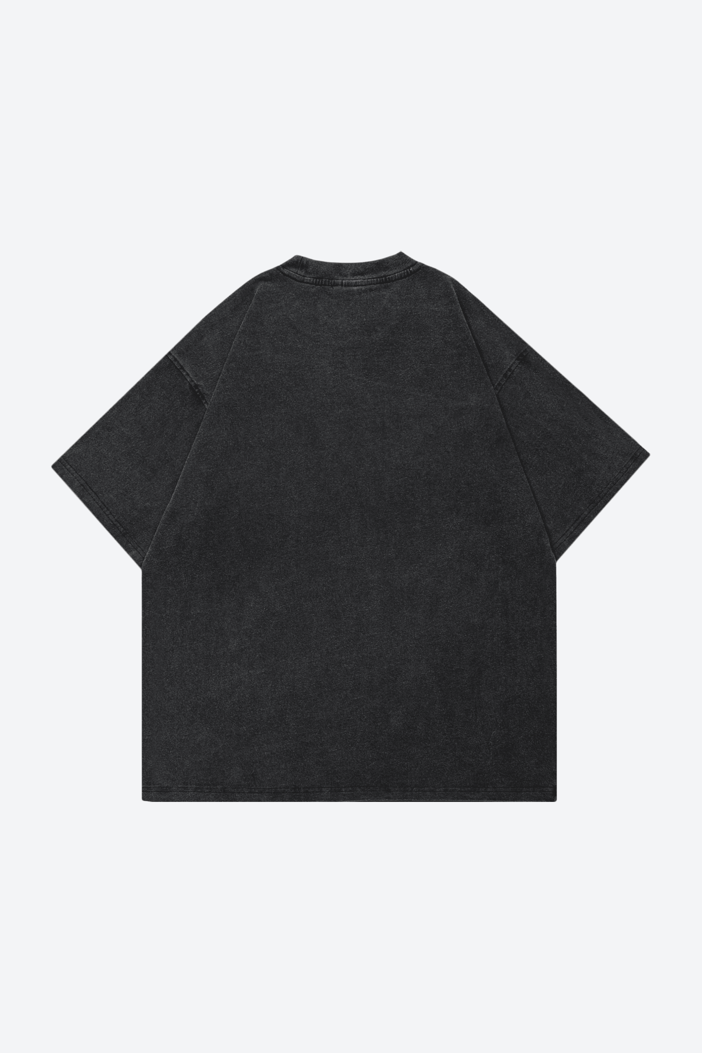 Castle in the Mist T-shirt